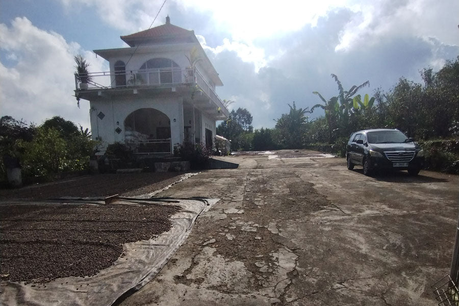 ARABICA KINTAMANI HONEY