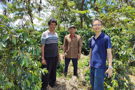 NORTH SUMATERA LINTONG