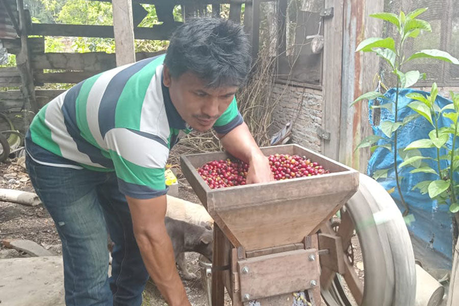 NORTH SUMATERA LINTONG